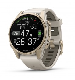 Garmin Fenix 8 AMOLED - 43 mm 010-02903-11